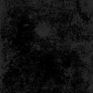 陈鱼落雁 阳光青年