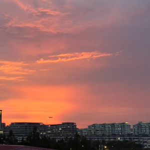 Not Jay（不是周杰伦）