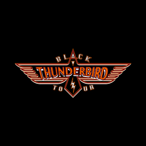 空の青さにみせられて (Black Thunderbird TOUR)
