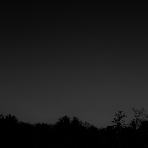 No Moon