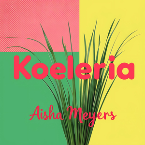 Koeleria