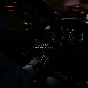 I wanna feel