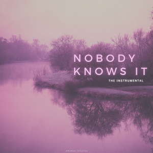 Nobody Knows It