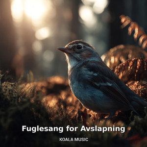 Fuglesang for Dyp Avslapning og Stressreduksjon, Pt.12