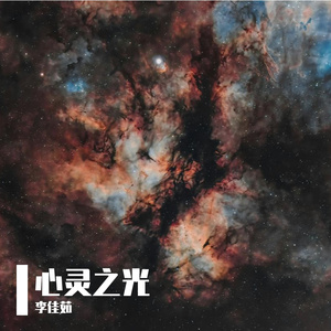 你的白发李佳茹