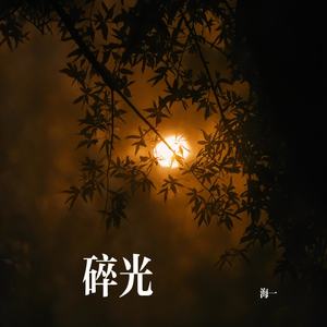 碎月光