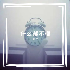 什么都不懂