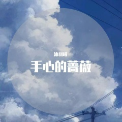 青春修炼手册 (DJ沐羽曦版)