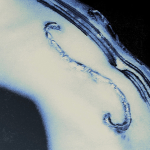 The Autopornographer