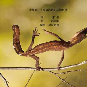 小壁虎（神奇奶爸的动物世界）