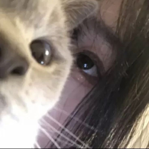 [FREE] pluggnb type beat “summer!”