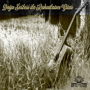 Rahatlatıcı Çalışma Müziği