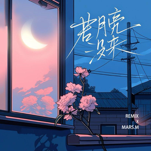 王宇宙Leto-若月亮没来(Future bass bootleg)（Mars.M remix）