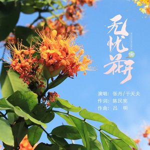 无忧花开