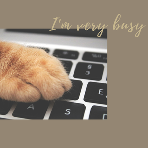 不想这样（伴奏）