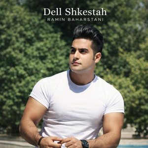 Dell Shkestah