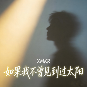 如果我不曾见到过太阳