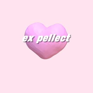 ex pellect（prod.$tan）