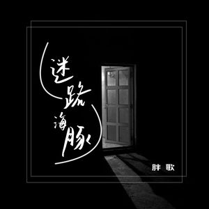 迷路海豚