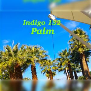 Palm