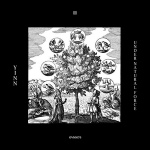 Under Dark Mysticism (Original Mix)