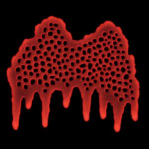 Ommetophiliac's Enucleation, a Collection of Eyes