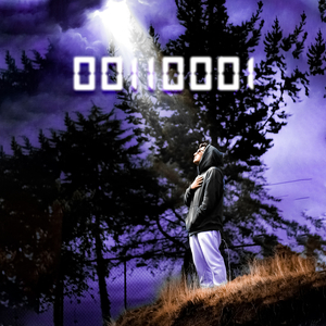 00110001