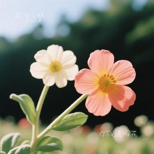 你不必是一朵花 (Cover J.H.H)