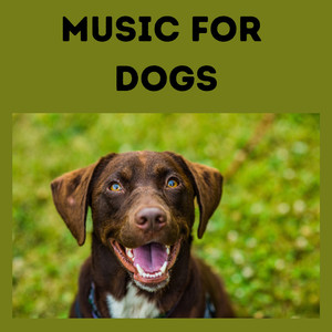 Music For Dogs
