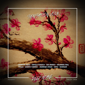 Controll (Original Mix)