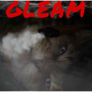 Gleam (feat. MAKAL)