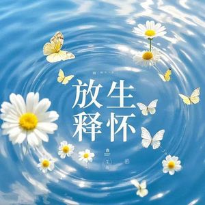 放生（释怀版） 伴奏