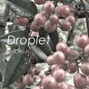 Droplet