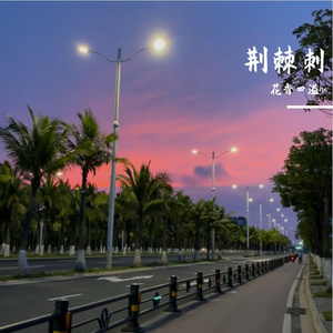 荆棘刺