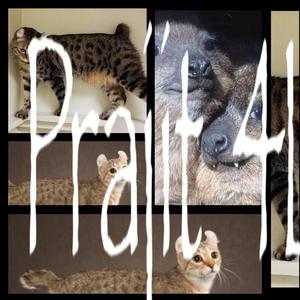 VALUTA (feat. JohnnyT)