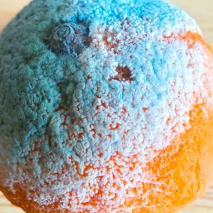 假装很幸福(Prod.Siren & 494in & EVO MUSIC)