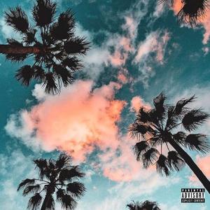 Palm Trees And Day Dreams