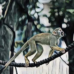 I Just Drank Gatorade