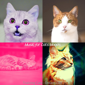 Playful (Cats)