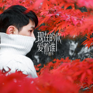 现在的你爱着谁