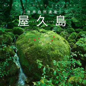 いなか浜～夕暮れ