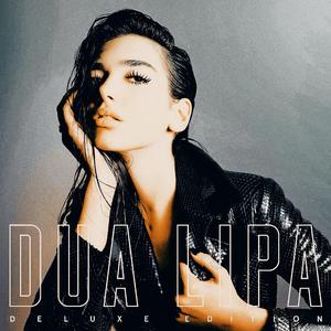 Dua Lipa-New Rules（D.M.U remix）