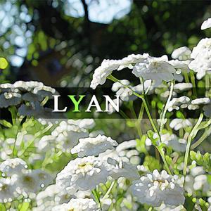 꽃이 웃는 소리를 들어본 적이 있나요?