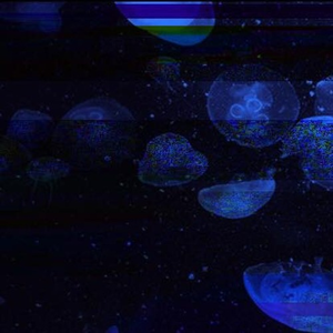 SIGNALS FROM THE OTHER SIDE [PROD. DVRX & RZLBONE] (lyrics in description)