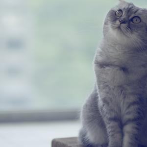 咱们结婚吧（翻自 齐晨）