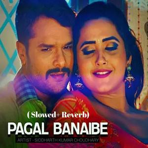 Pagal Banaibe ( Slowed + Reverb )