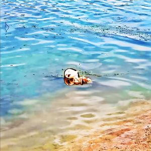 如果你走后我依然无法挽留