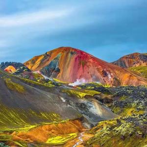 你想要的是自由我想要的却是生活