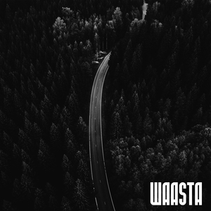 Waasta