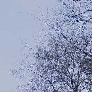 归潮